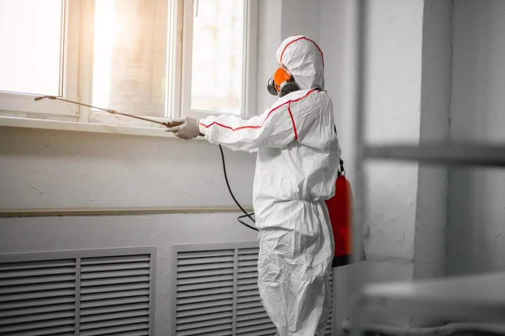 Professional mold remediation services in Cable, OH